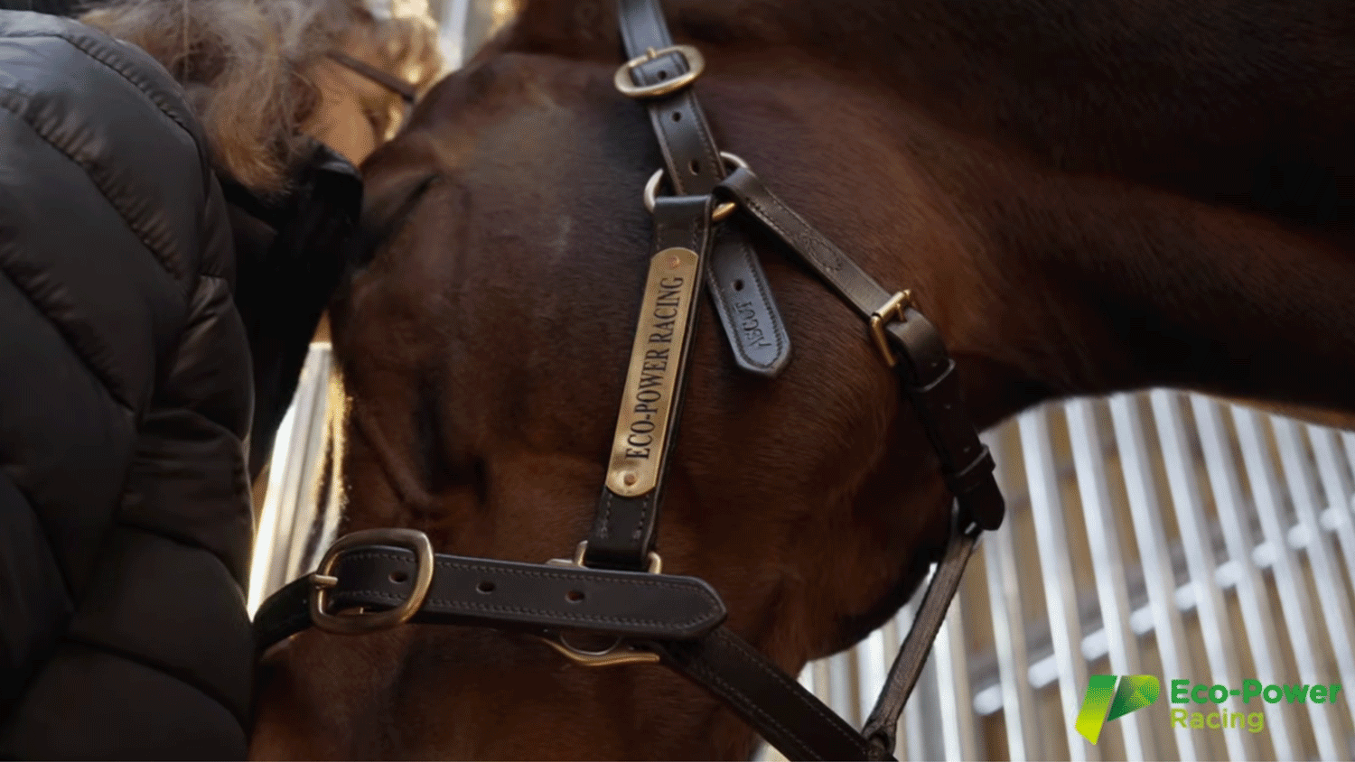 Off-Grid Commercial Solar: Powering a Racing Yard — Sunsynk news article
