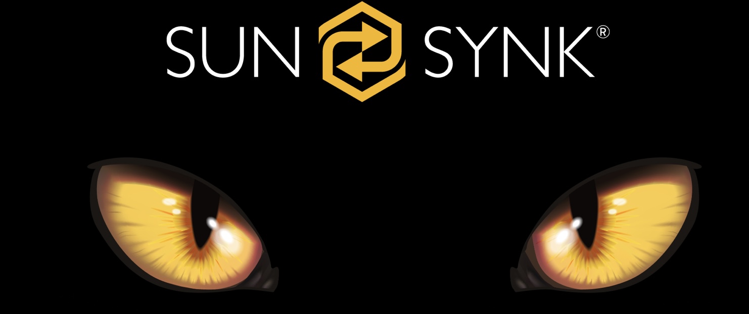 Mini Beast's Partner the 3.07 kWh Mini Battery — Sunsynk news article
